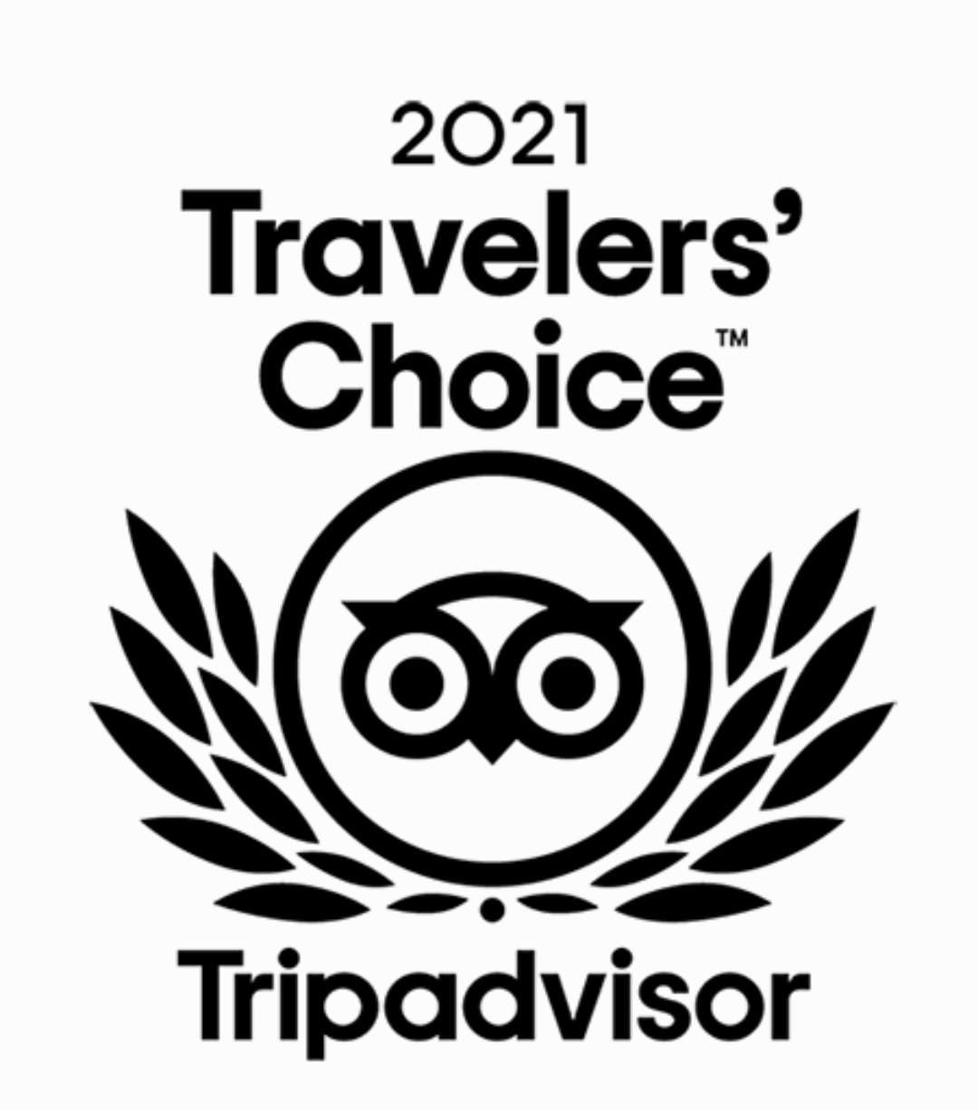 TripAdvisor jojimtour reviews